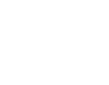 ISM